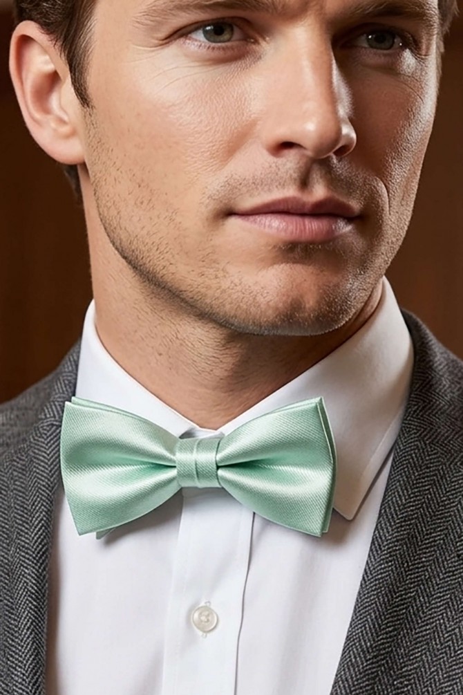 Plain bowtie